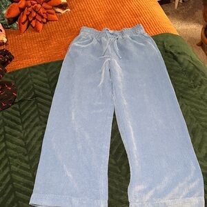 BDG Baby Blue Corduroy Pants